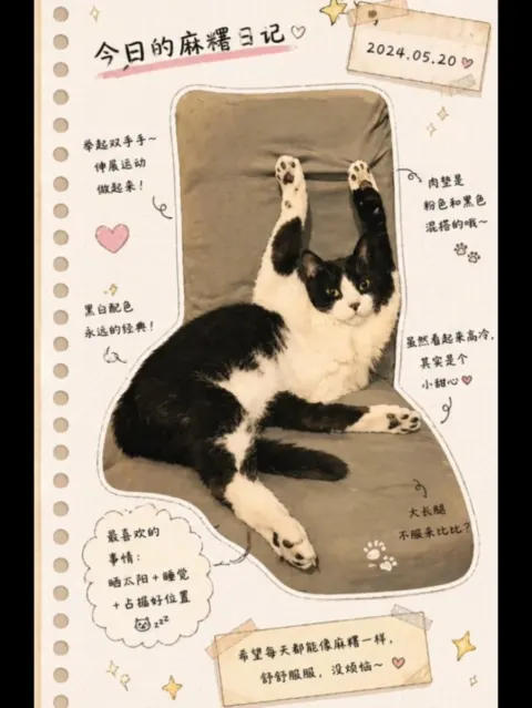 Japanese Planner Cat Illustration