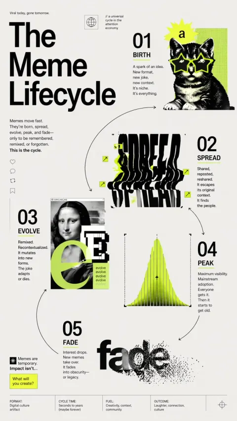 Meme Lifecycle Infographic Poster
