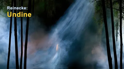 Moonlit Undine Forest