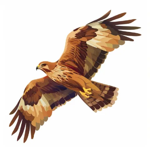 Isometric Harrier Bird Illustration on White