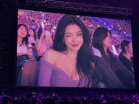 Concert LED Screen Fan Cam Moment