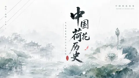 Lotus Knowledge Visual