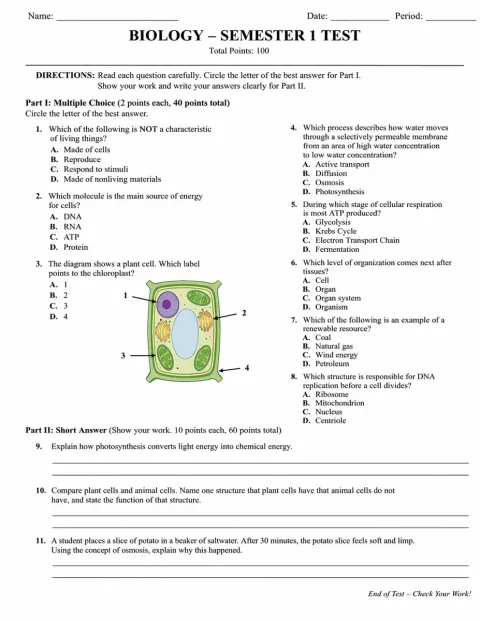 Biology Exam Paper Template