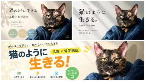 Live Like a Cat Philosophy