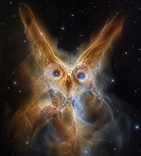 Majestic Owl Nebula Deep Space Wonder