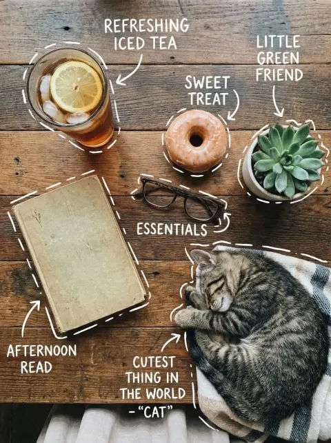 Cozy Cat Afternoon Flat Lay