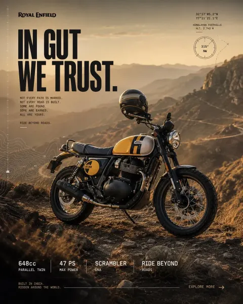 In Gut We Trust: Bear 650