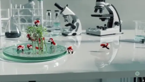 Prompt: Petri dish bamboo forest tiny pandas