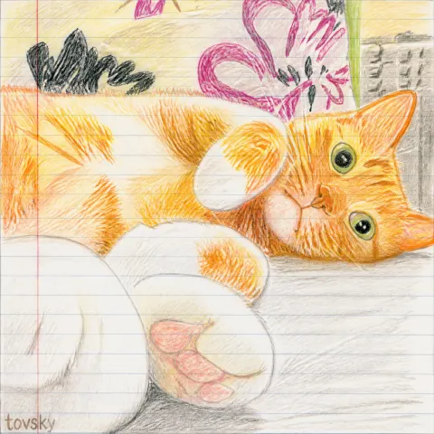 Child Drawing Colored Pencil Art