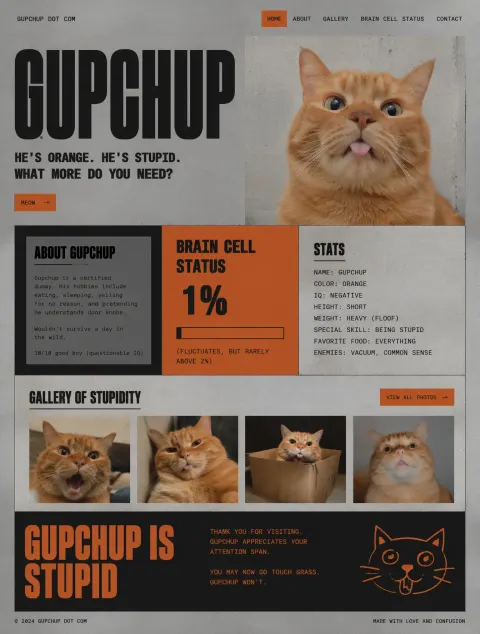 Goofy Cat Website Design