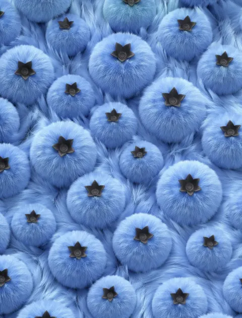 Fluffy Blueberry Macro Dream