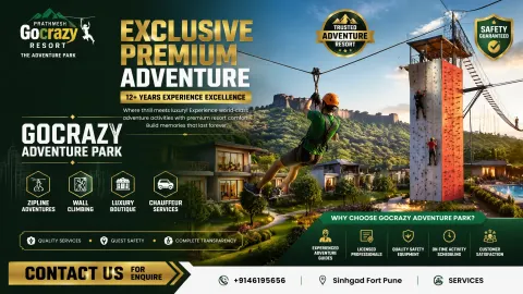 GoCrazy Adventure Paradise