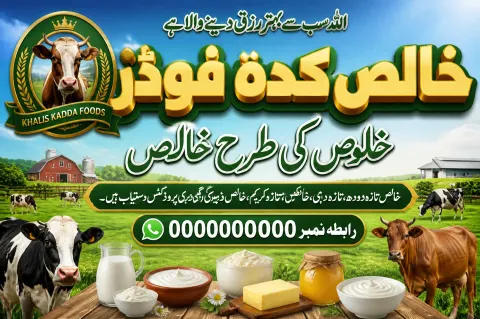 Pure Dairy Products Flex Banner Design