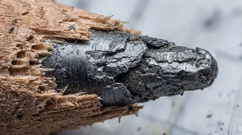 Microscopic Pencil Tip Revealed