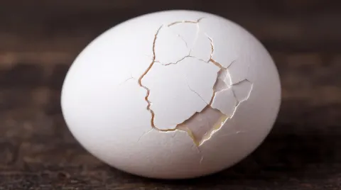 Cracked Egg Art Photography