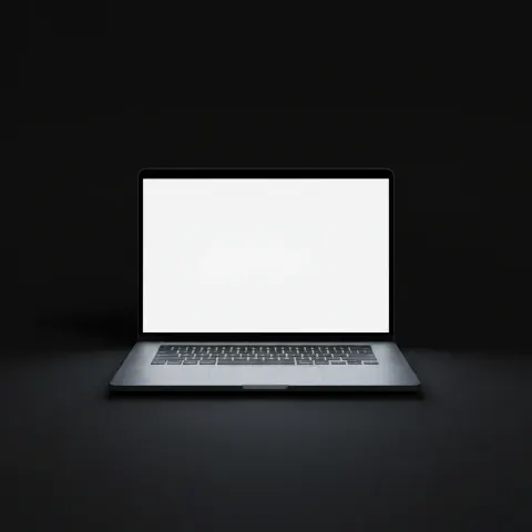 Black MacBook - White Screen