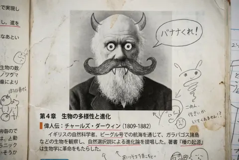 Doodled Japanese History Textbook Pages