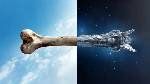 Bone To Spaceship Fusion