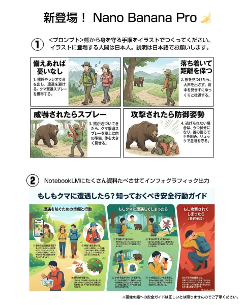 Bear Survival Guide Illustrated