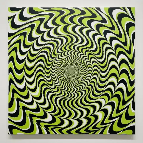 Optical Illusion Imagery