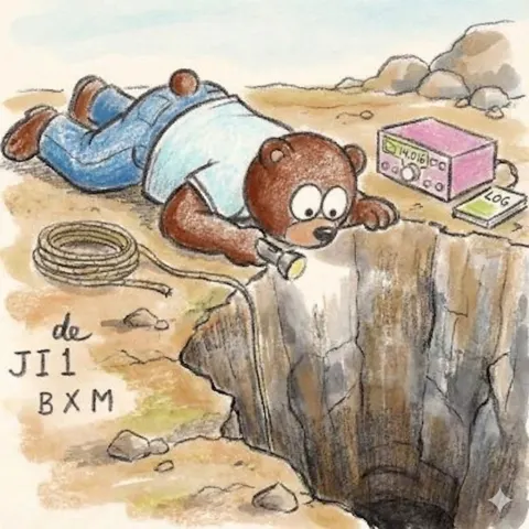 Curious Bear Peers Into Deep Hole