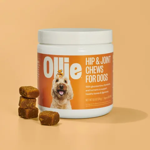 Dog Treat Unboxing Lifestyle