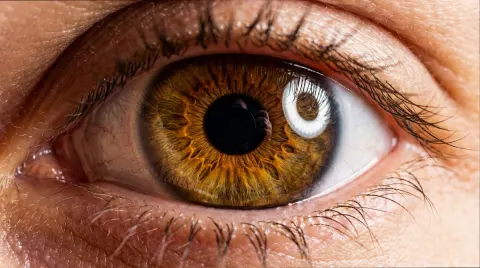 Extreme Macro Human Eye Detail