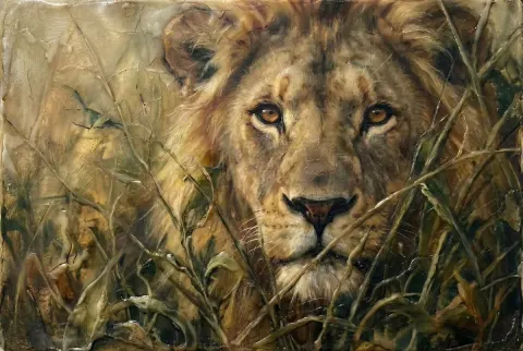 Mysterious Lion in the Bushes