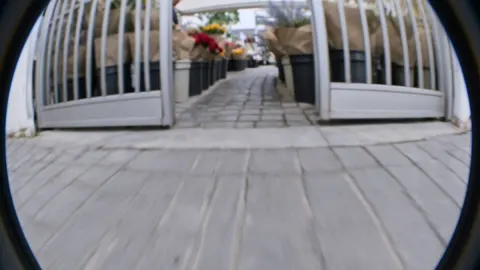 Honeybee FPV Flight Through Flower Market
