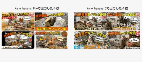 Cat Broadcast Disasters