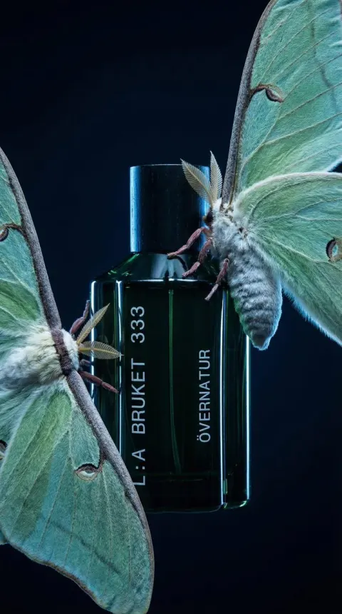 Enchanted Forest Perfume Dream
