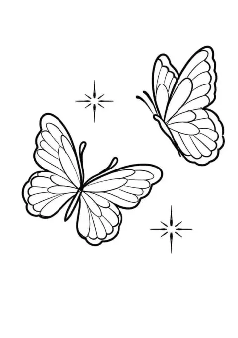 SVG: Butterflies Flowers