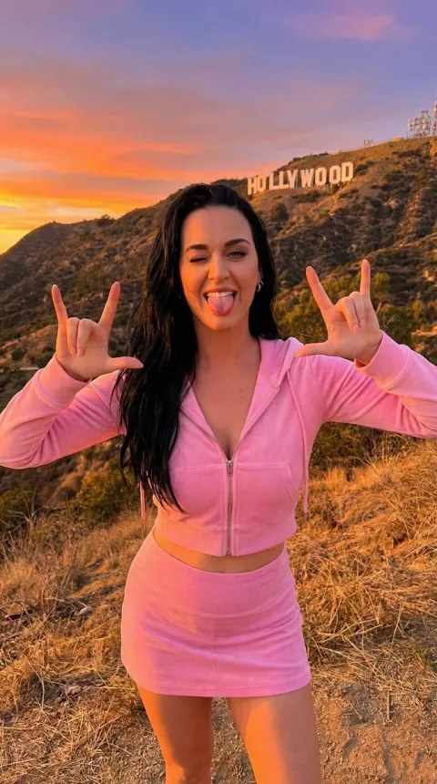 Playful Fitness Girl At Hollywood Hills