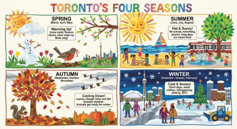 Toronto Seasons Picture Book