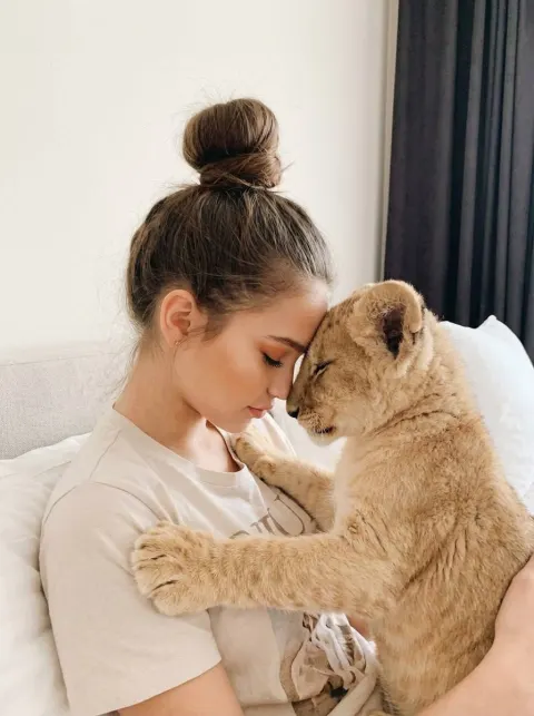 Tender Forehead Touch with Lion Cub