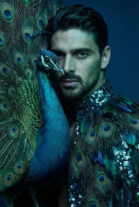 Peacock Blue Fashion Reverie