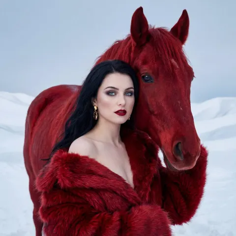 Crimson Winter Fantasy