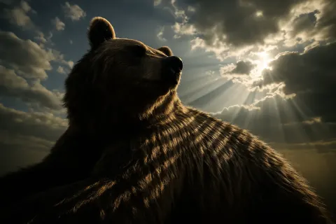 Single Grizzly Silver-tipped Brown Bearskin