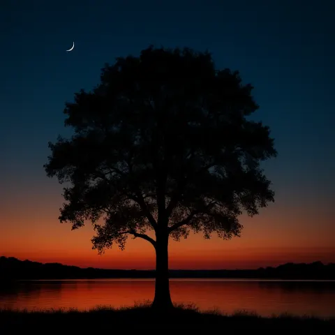 Photo Portraying a Serene Twilight