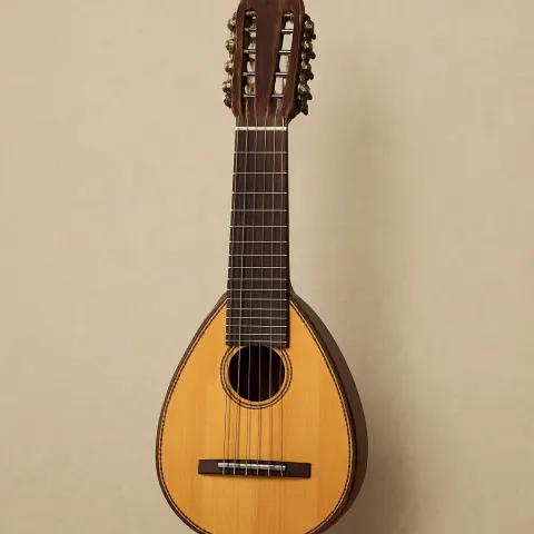 Easily Portable Lute-like Instrument