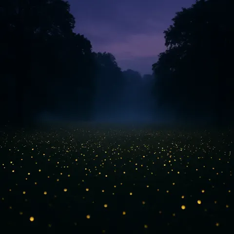 Innumerable Tiny Fireflies Create