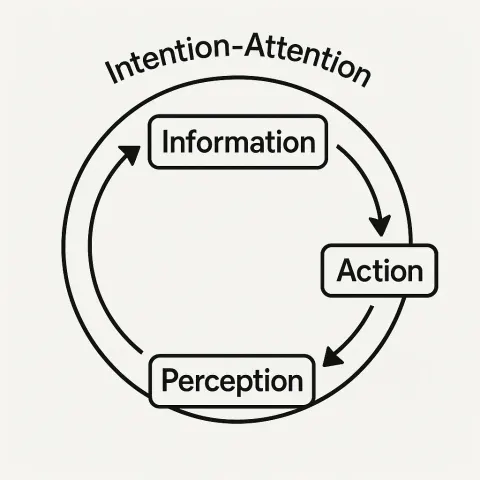 Circular Diagram Illustrating the Cycle of "Information," "Action,"