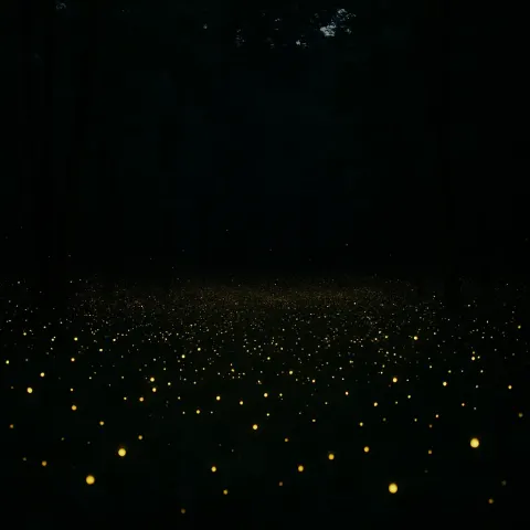 Vast Swarm of Fireflies Illuminates a Dense