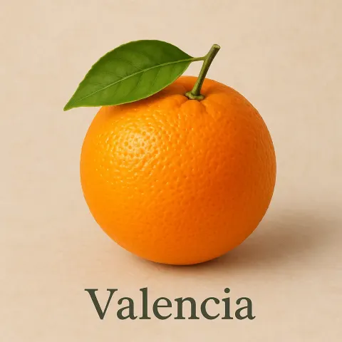 Juicy Citrus Fruit Admired for its Bright Orange Color