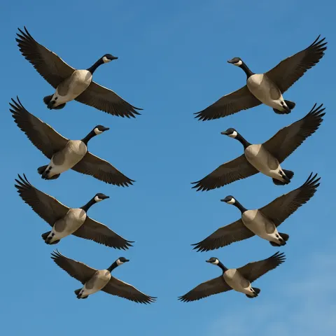 Depict Geese in Flight with Rich Detail