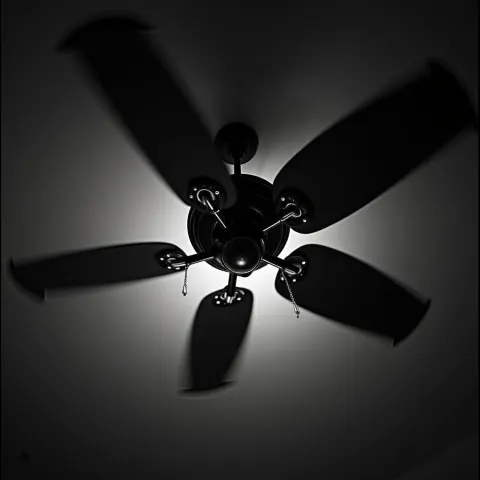 Ceiling Fan in Grainy High Contrast Black and White