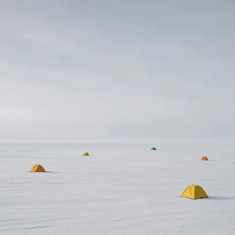 Several Lone Tents