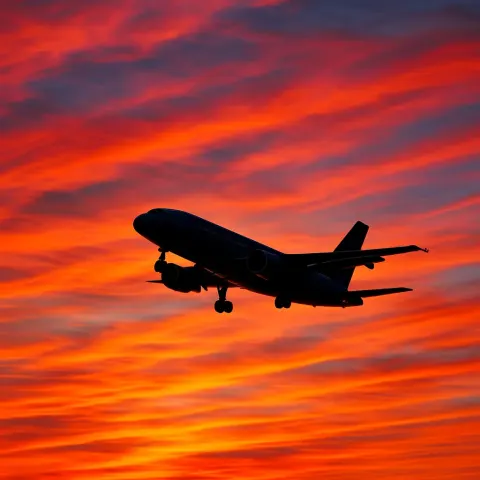 Amidst a Colorful Sunset