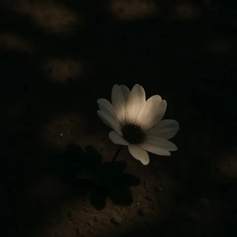 Lone Flower Graces the Ground