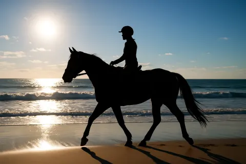 Silhouetted Rider on a Horse Trotting Along a Sunny Beach